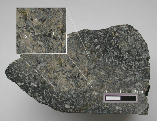 Biomarker-Analyse von Bitumen