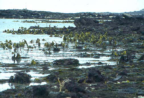 bild12
